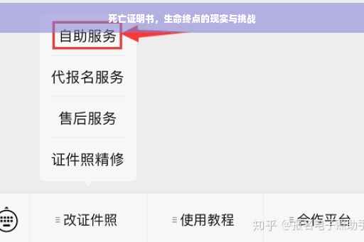 死亡证明书，生命终点的现实与挑战