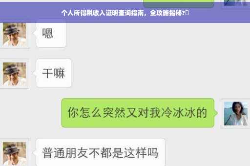 个人所得税收入证明查询指南，全攻略揭秘?✨