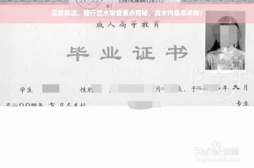 深度解读，银行流水审查要点揭秘，流水内容是关键！