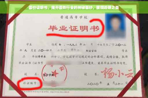票价证明书，揭开票务行业的神秘面纱，展现透明之美