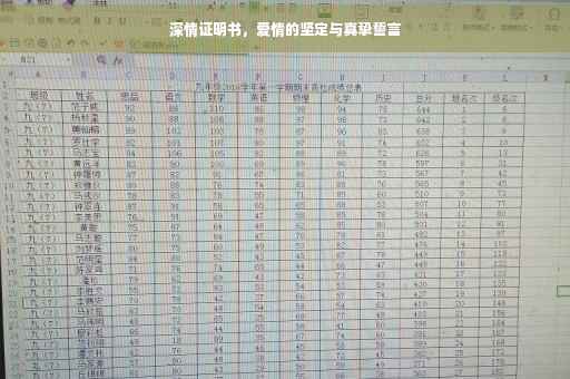 深情证明书，爱情的坚定与真挚誓言
