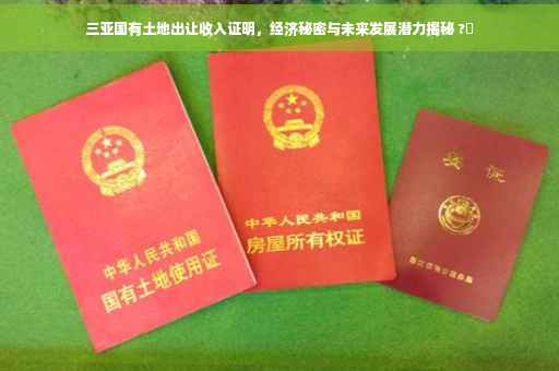 三亚国有土地出让收入证明，经济秘密与未来发展潜力揭秘 ?✨