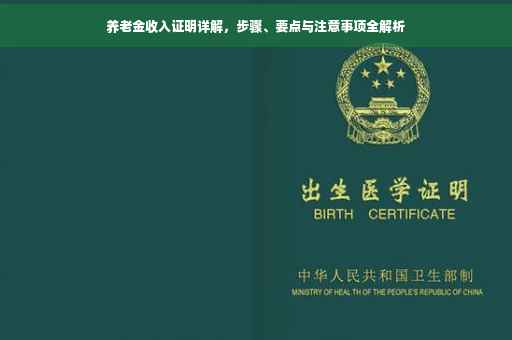 养老金收入证明详解，步骤、要点与注意事项全解析