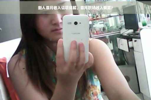 新人首月收入证明详解，首月职场收入概览?
