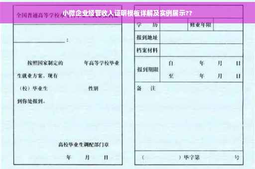 小微企业经营收入证明模板详解及实例展示??
