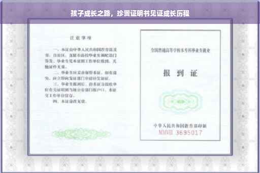 孩子成长之路，珍贵证明书见证成长历程