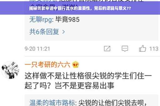 揭秘贷款申请中银行流水的重要性，背后的逻辑与意义??