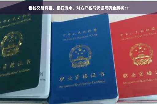 揭秘交易真相，银行流水、对方户名与凭证号码全解析??