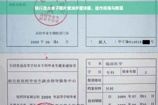 银行流水单子图片查询步骤详解，操作指南与教程