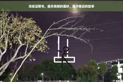 冻结证明书，揭开真相的面纱，揭示背后的故事