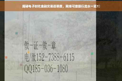揭秘电子时代金融交易透明度，网络可查银行流水一览?✨