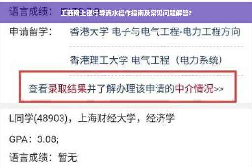 工商网上银行导流水操作指南及常见问题解答?
