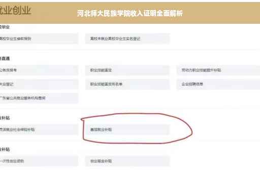 河北师大民族学院收入证明全面解析