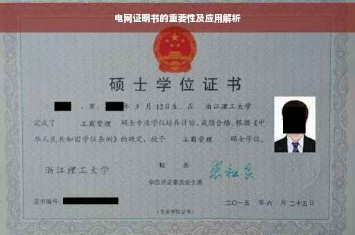 电网证明书的重要性及应用解析
