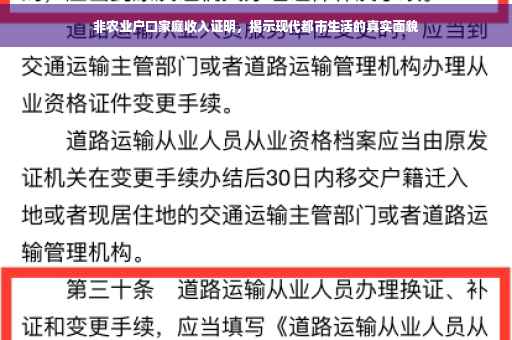 非农业户口家庭收入证明，揭示现代都市生活的真实面貌