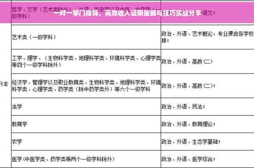 一对一掌门指导，高效收入证明策略与技巧实战分享