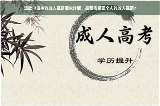 贷款申请中的收入证明要求详解，是否需要两个人的收入证明？