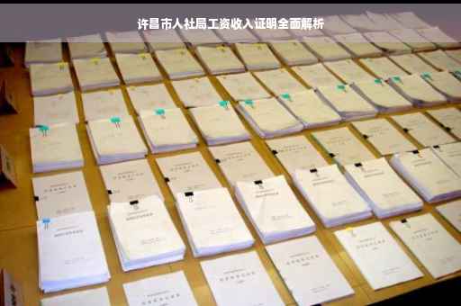 许昌市人社局工资收入证明全面解析