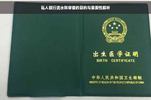 私人银行流水账审查的目的与重要性解析