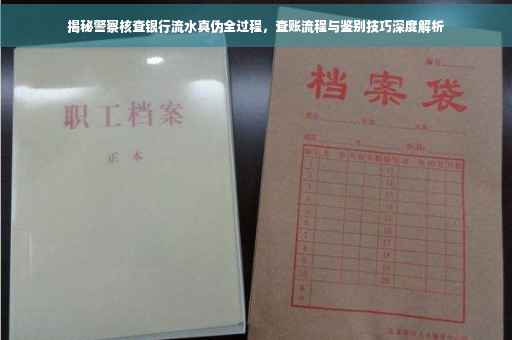 揭秘警察核查银行流水真伪全过程，查账流程与鉴别技巧深度解析