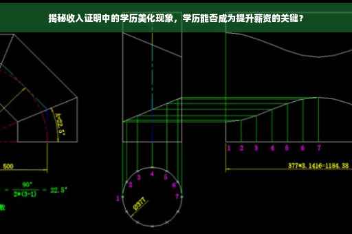 揭秘收入证明中的学历美化现象，学历能否成为提升薪资的关键？