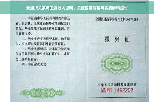 党组织关系与工资收入证明，关联深度解读与实践影响探讨