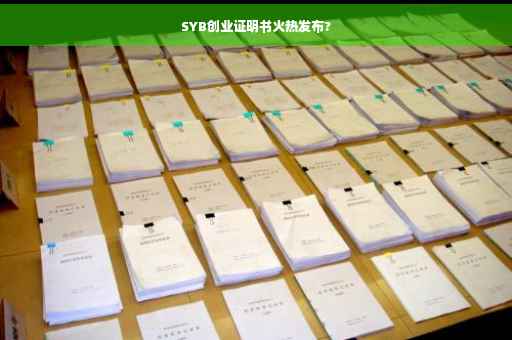 SYB创业证明书火热发布?