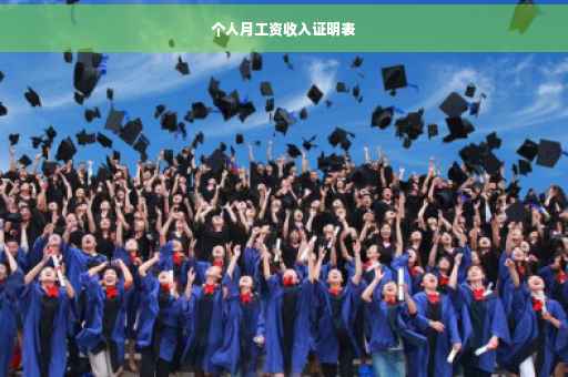 个人月工资收入证明表