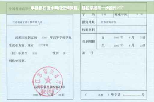 手机银行流水明细查询教程，轻松掌握每一步操作?⚡️