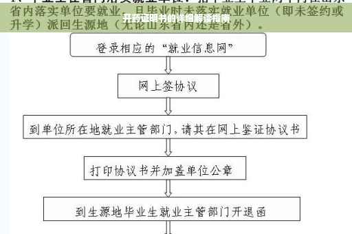 开药证明书的详细解读指南