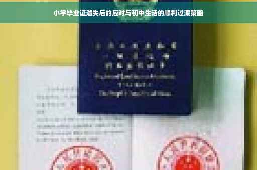 小学毕业证遗失后的应对与初中生活的顺利过渡策略