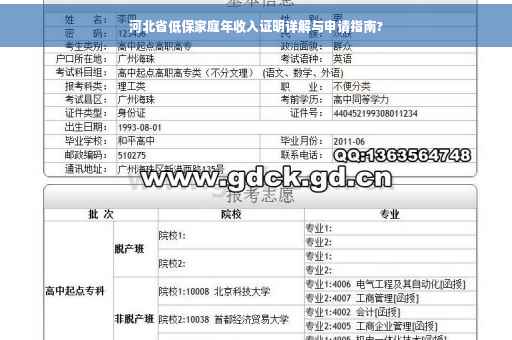 河北省低保家庭年收入证明详解与申请指南?