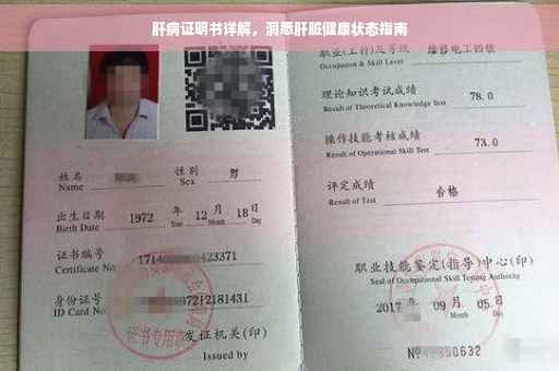 肝病证明书详解，洞悉肝脏健康状态指南