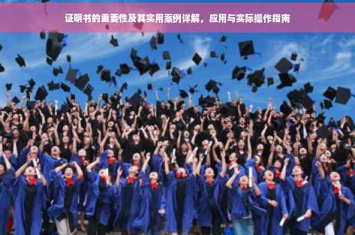 证明书的重要性及其实用案例详解，应用与实际操作指南