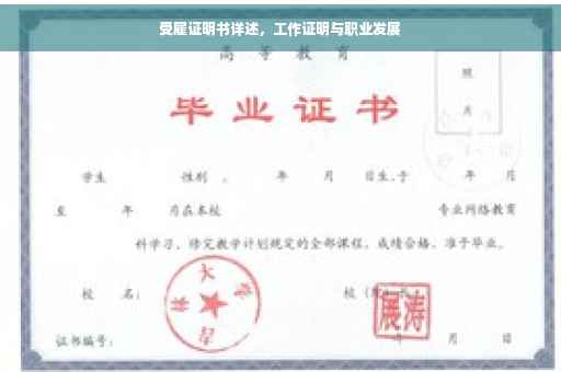 受雇证明书详述，工作证明与职业发展