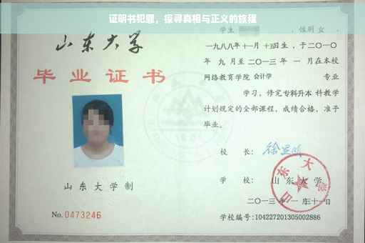 证明书犯罪，探寻真相与正义的旅程