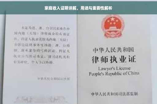 家庭收入证明详解，用途与重要性解析