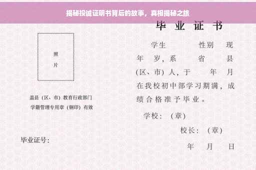 揭秘投诚证明书背后的故事，真相揭秘之旅