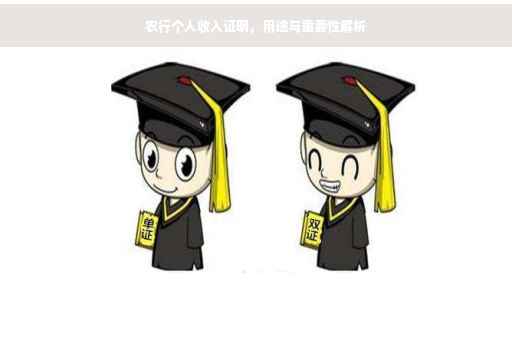 农行个人收入证明，用途与重要性解析