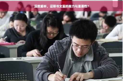深度解析，证明书文案的魅力与重要性?