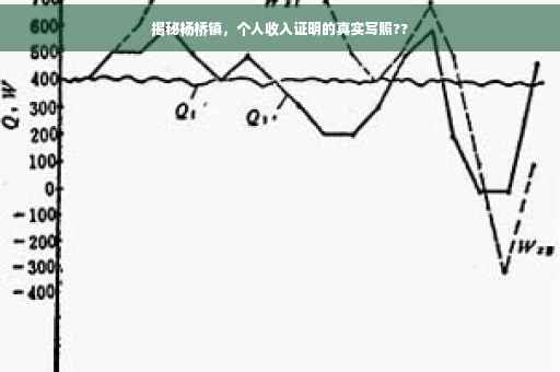揭秘杨桥镇，个人收入证明的真实写照??