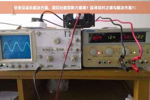 毕业证丢失解决方案，复印社能否助力重建？探寻应对之道与解决方案?✨