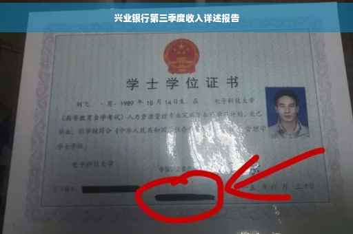 兴业银行第三季度收入详述报告