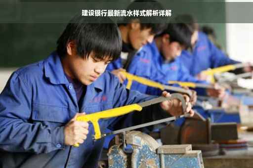 建设银行最新流水样式解析详解