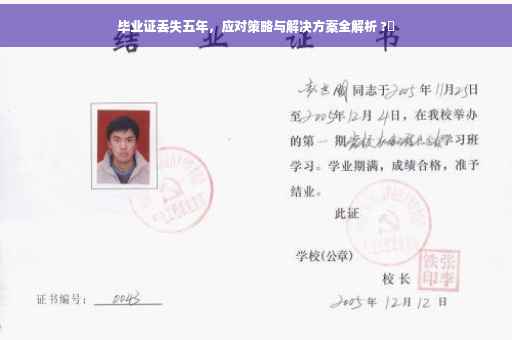 毕业证丢失五年，应对策略与解决方案全解析 ?✨