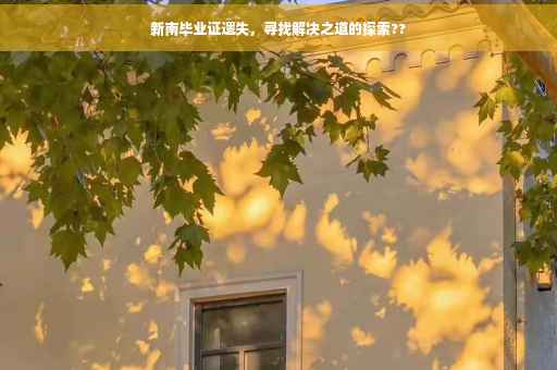 新南毕业证遗失，寻找解决之道的探索??