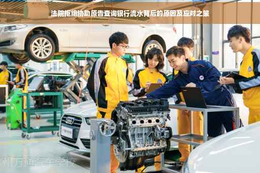 法院拒绝协助原告查询银行流水背后的原因及应对之策
