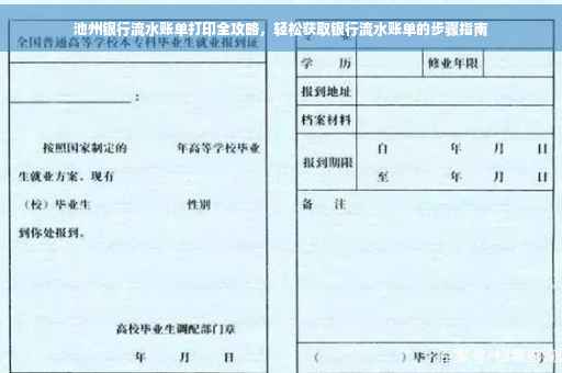 池州银行流水账单打印全攻略，轻松获取银行流水账单的步骤指南