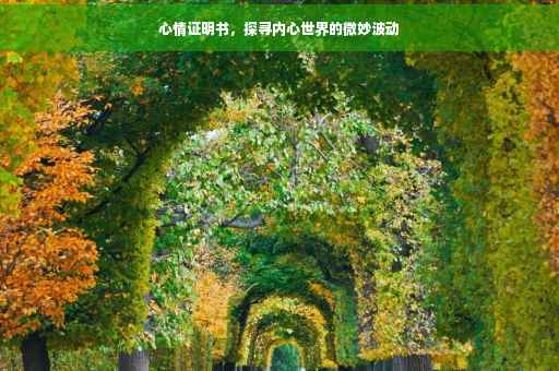 心情证明书，探寻内心世界的微妙波动