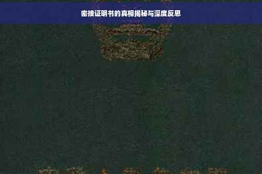 密接证明书的真相揭秘与深度反思